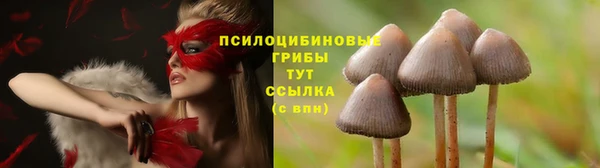 героин Рославль
