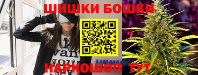 хмурый Бийск
