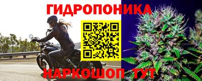 хмурый Бийск